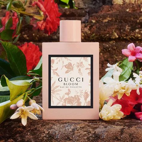 Gucci Bloom perfume fragrantica